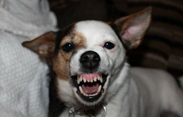 Не от хорошей жизни они такие.