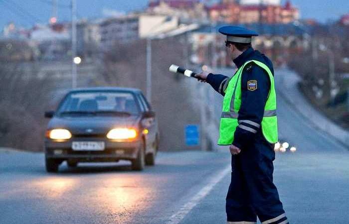 Есть несколько стратегий поведения. /Фото: rusvesna.su. Есть несколько стратегий поведения. /Фото: rusvesna.su.