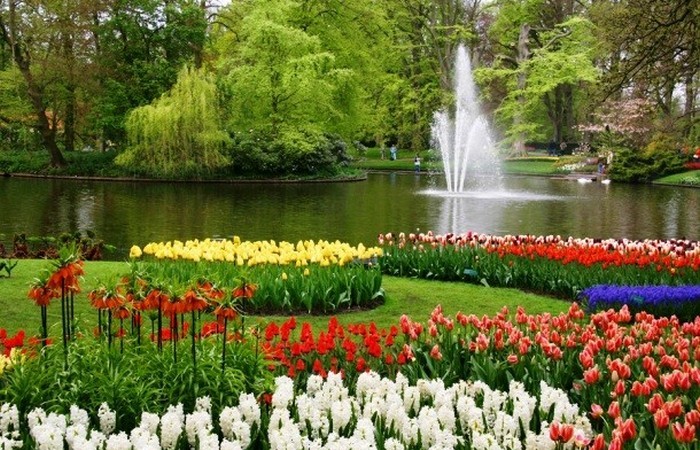 Королевский парк цветов - самый большой букет для любимой.