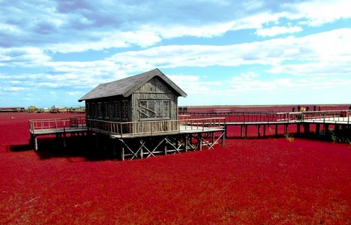 Красный пляж - свежо и прикольно.