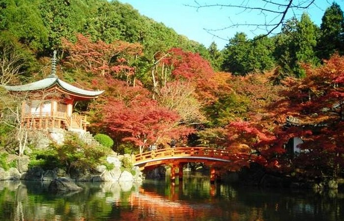 В Киото сотни храмов и традиционных японских садов.