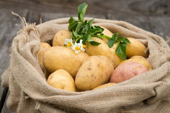 Не игнорируйте картофель. |Фото: fermoved.ru.
