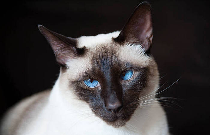 Живут долго и счастливо. Живут долго и счастливо.