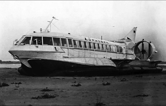 Рождённый плавать летать не может. /Фото: smartage.pl. Рождённый плавать летать не может. /Фото: smartage.pl.