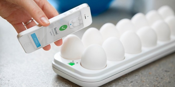 Поможет не остаться без яиц лоток Quirky Egg Minder.