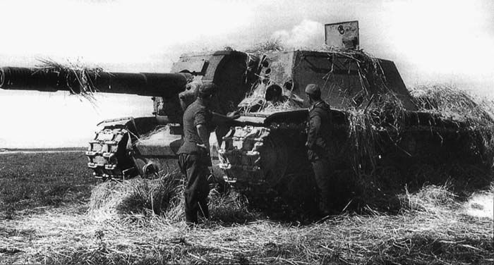 Била не только укрепления. Била не только укрепления.