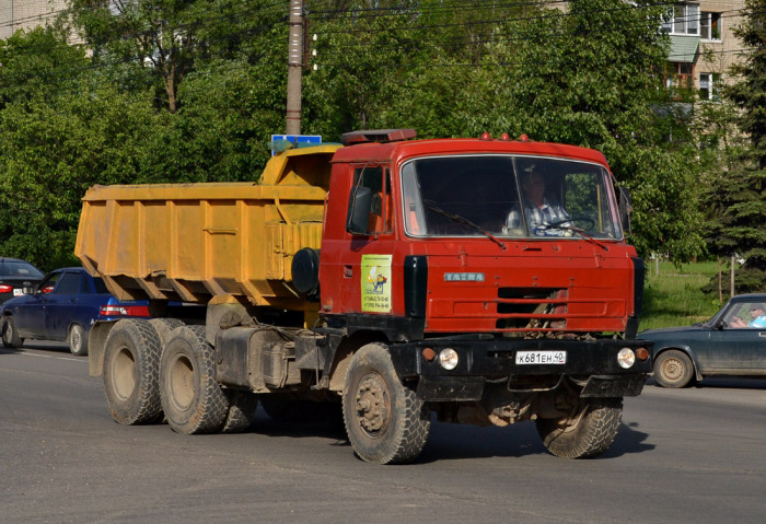 Называли косолапым. /Фото: fototruck.ru.