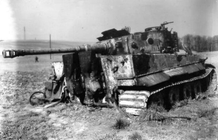 Тигр оказался просто не нужен. Тигр оказался просто не нужен.