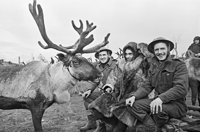 Советский оленевод и британские солдаты в голы Великой Отечественной войны. /Фото: m.fishki.net.
