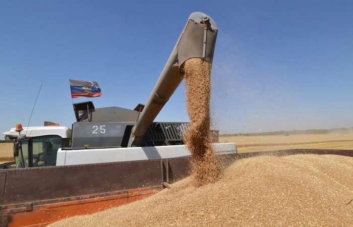 В России достаточно высокая урожайность, даже в среднем.