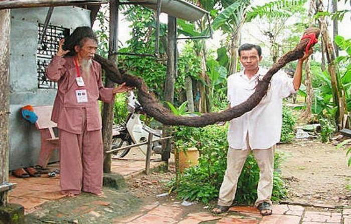 Вьетнамский травник Тран Ван Хе - человек с самыми длинными волосами в мире.