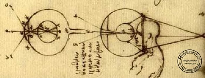 15 открытий и изобретений, к появлению которых причастен великий Леонардо да Винчи 