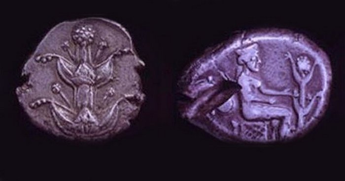 Сильфий - исчезнувший  древнегреческий контрацептив.