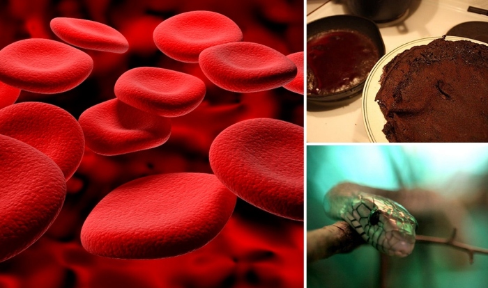 10 странных и неожиданных способов использования крови