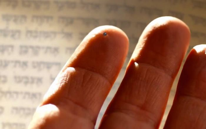 Самая маленькая Библия в мире.