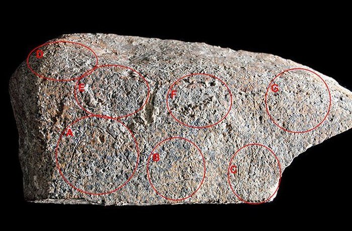  14 000-летняя резьба по камню.