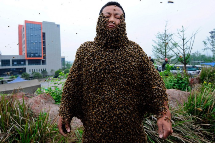 Пчелы на теле.