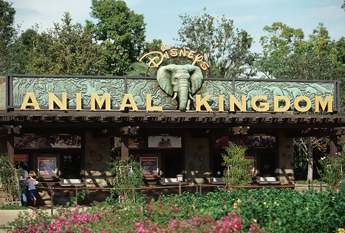 Тематический парк развлечений и зоопарк «Царство животных Диснея» в Бэй-Лэйке, США