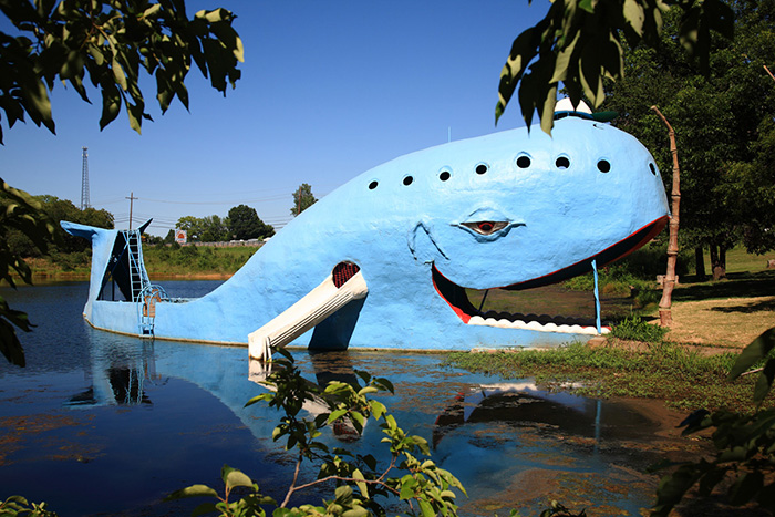 Пешеходный мост «Голубой кит» в Катузе