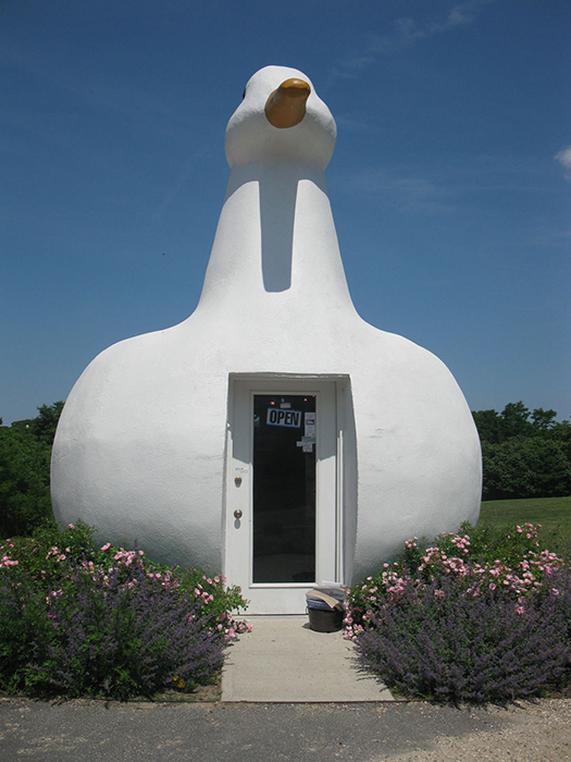 Здание в форме утки во Фландерсе, США