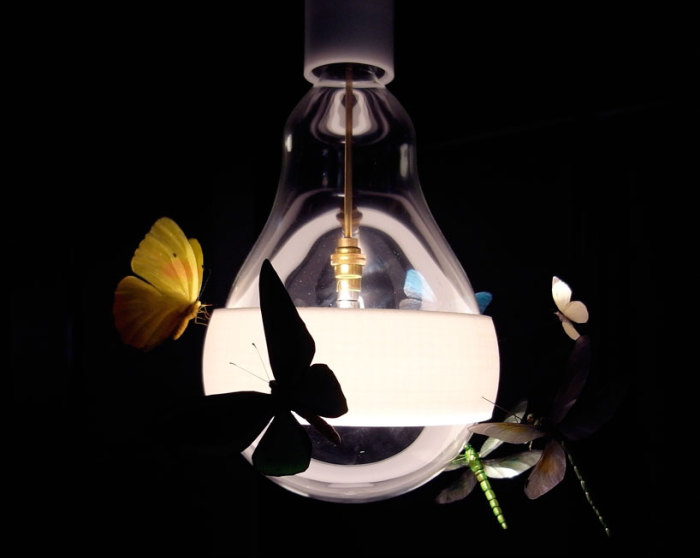 Бабочки, мотыльки и стрекозы окружили лампочку.