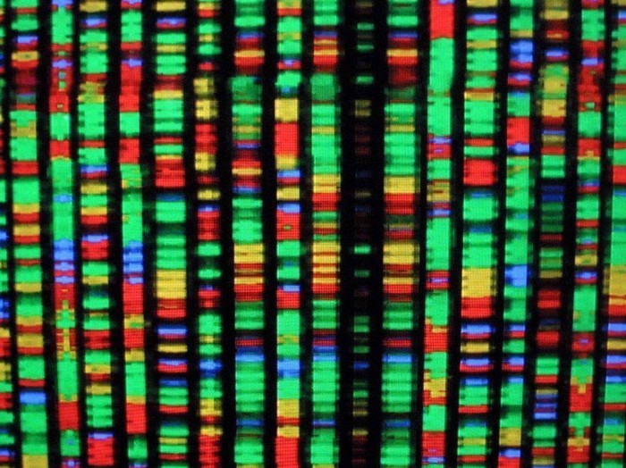 Проект Человеческий Геном