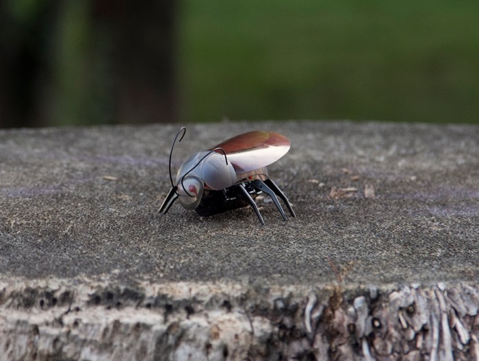 iPhone Controlled Bug – робот-шпион в виде таракана