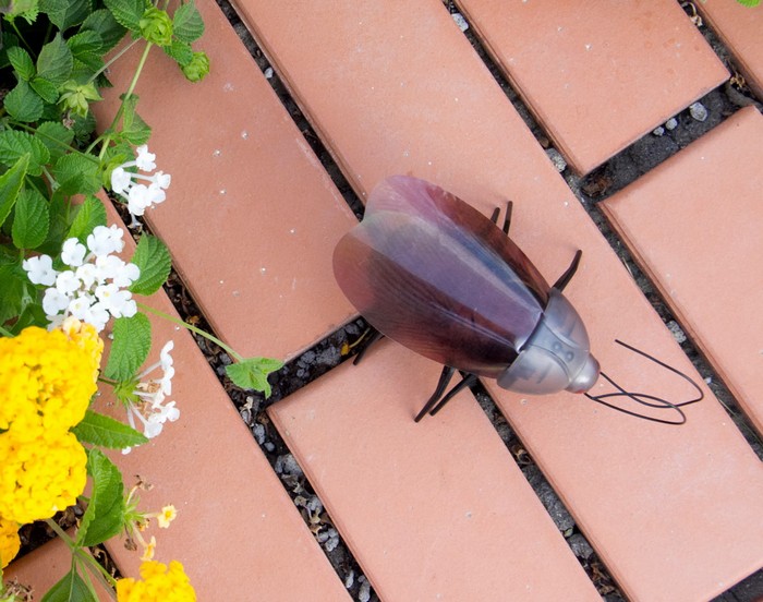 iPhone Controlled Bug – робот-шпион в виде таракана