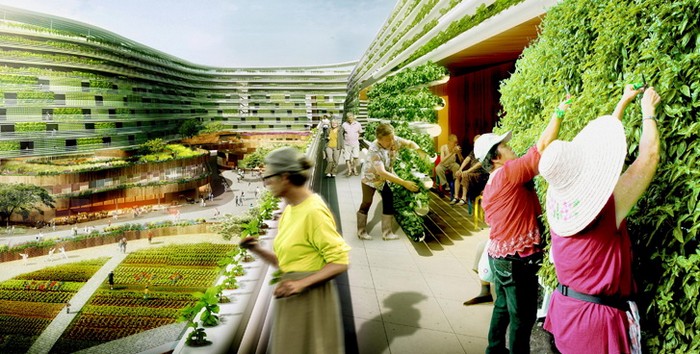 Home Farm – многоэтажный дом в Сингапуре для любителей сельского хозяйства