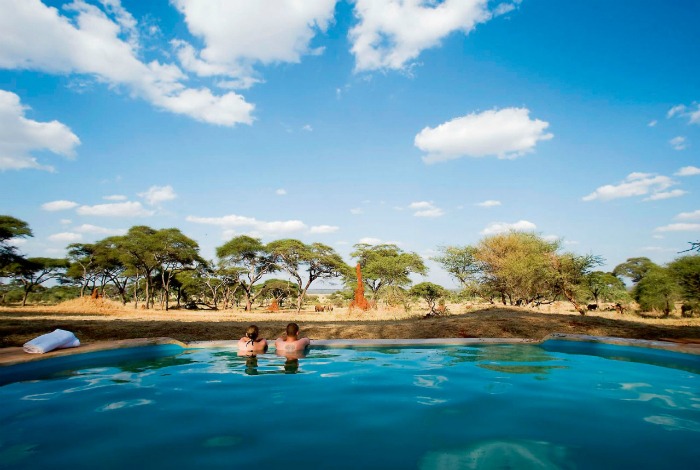 Уникальный бассейн в Национальном парке, в котором можно отдохнуть после насыщенного сафари.
