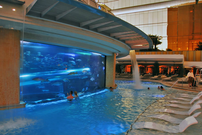 Бассейн с огромным аквариум, который дарит возможность понаблюдать за красивыми рыбками.