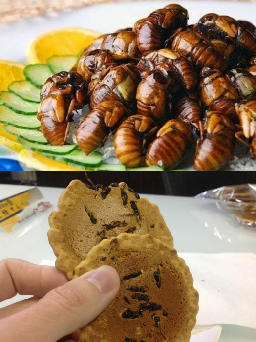 Личинки пчел и рисовое печенье с осами.