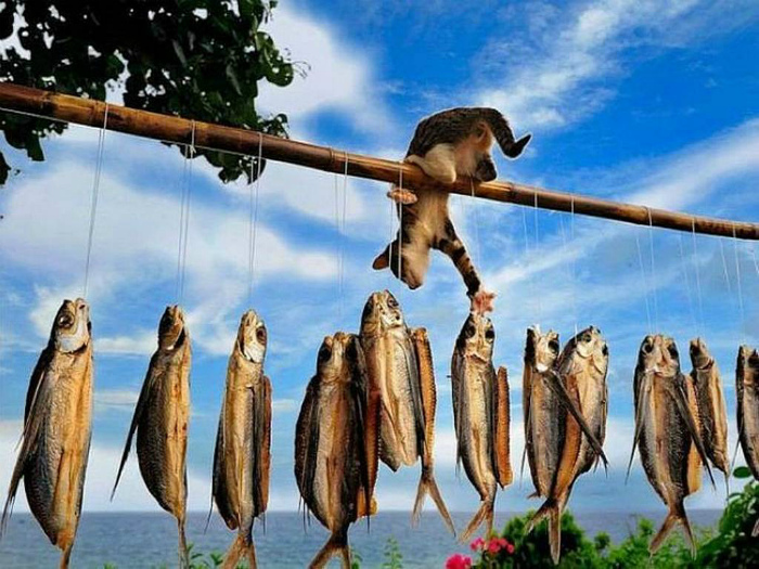 На рыбалке.
