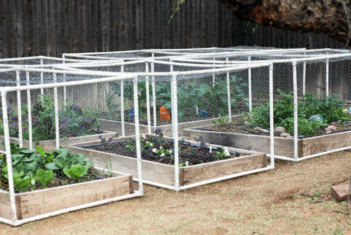 Защита грядок.| Фото: Gardening: Flower and Vegetables.