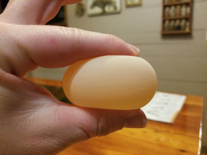 Куриное яйцо в мембране, но без скорлупы.