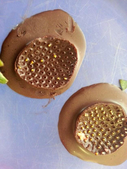 Отпечатки клубники на шоколаде.