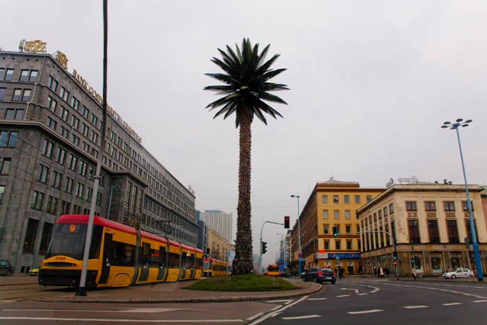 Искусственная пальма в Варшаве.