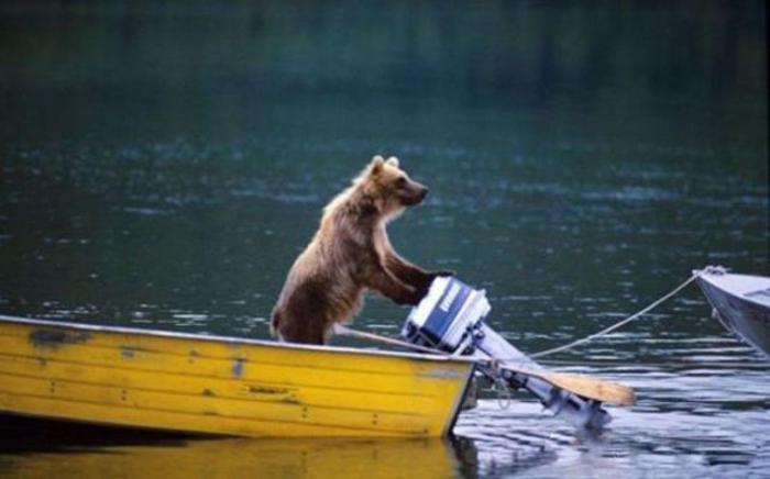 «Да, это медвежонок и он управляет лодкой, что тут такого. Он и на балалайке играет, если что!»