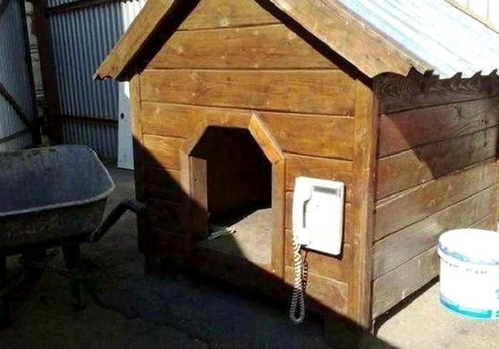 «О, наверное, собаке очень нужен телефон!» | Фото: Twitter.