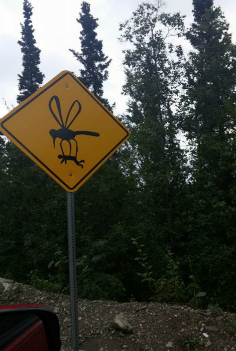 Суровые комары.