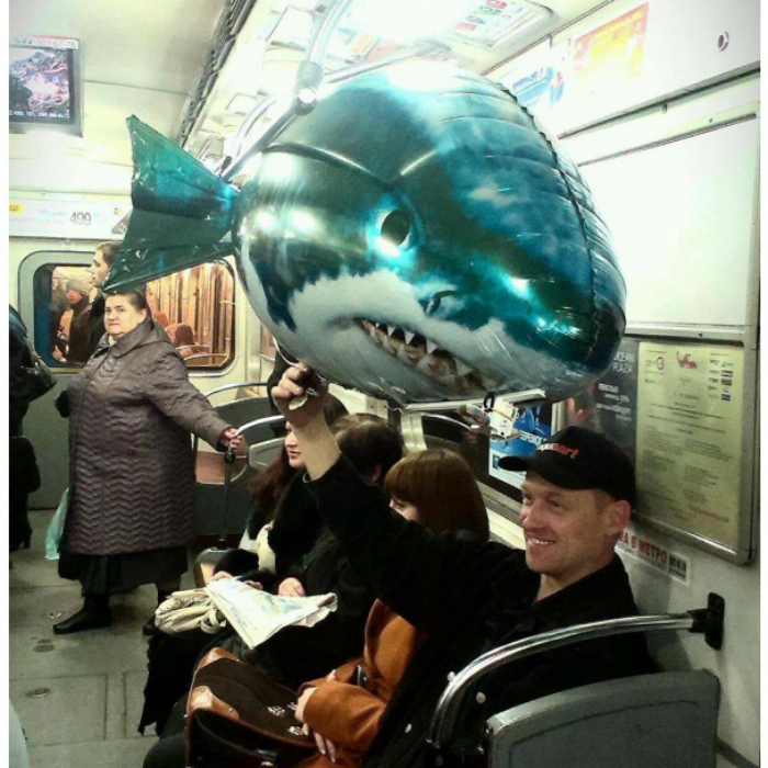 Акула в вагоне.