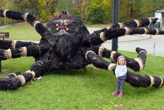 Огромный паук.