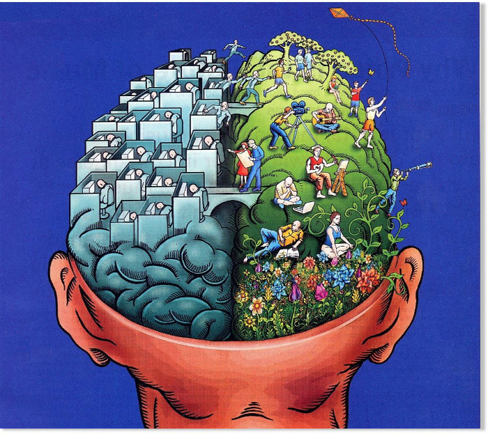 Левое полушарие мозга отвечает за логику, правое - за эмоции. | Фото: Бердянск 24.