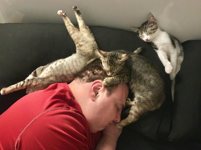 Ты можешь казаться очень мужественным, но какой в этом толк, если ты спишь с котятами. | Фото: Pinterest.