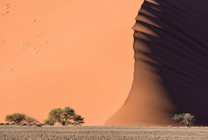 Море дюн в пустыне Намибия.