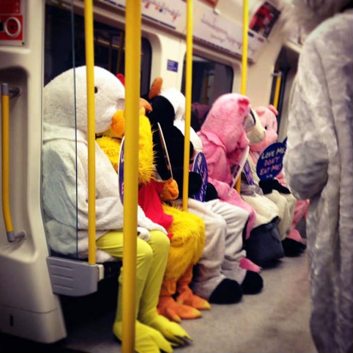 Животные в метро.