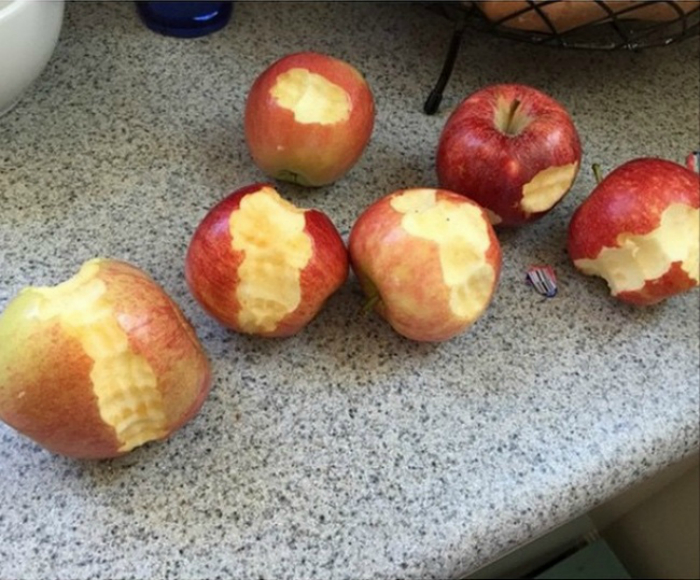 «Все яблоки вкусные! Я попробовал!»