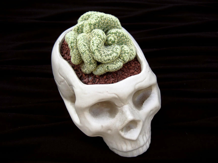 Горшок-череп для комнатных растений.