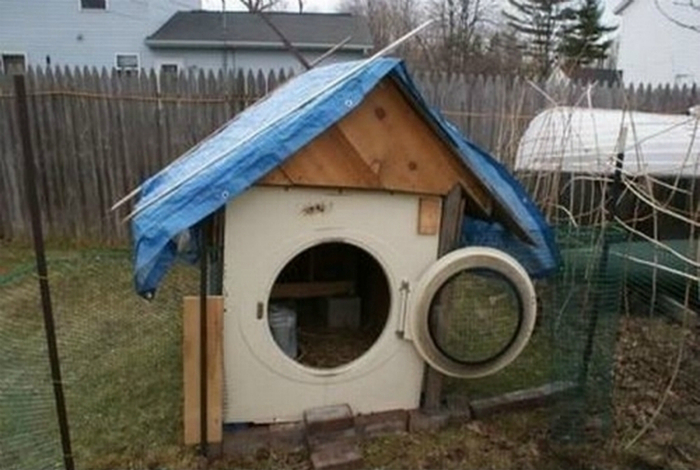Собачья будка в стиральной машине.