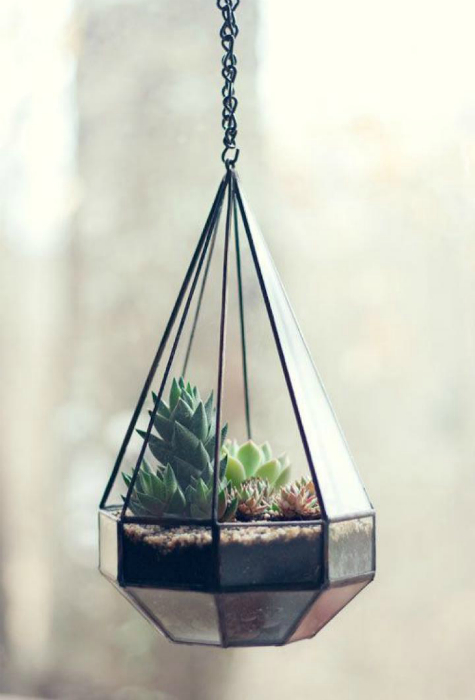 Фантастическая стеклянная капсула с живыми растениями.